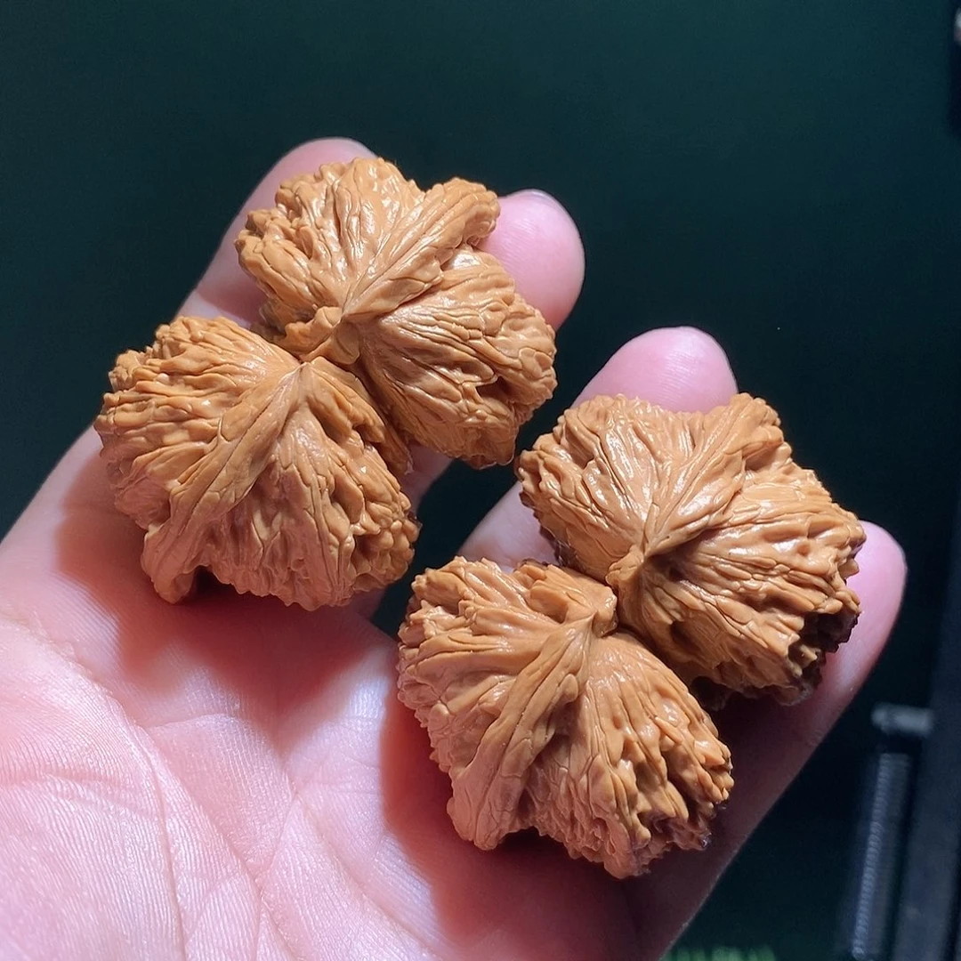 把件文玩核桃57白狮子联体全品