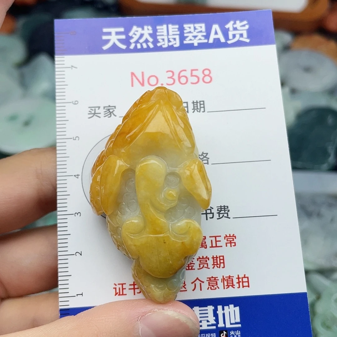 翡翠未镶嵌挂件3658