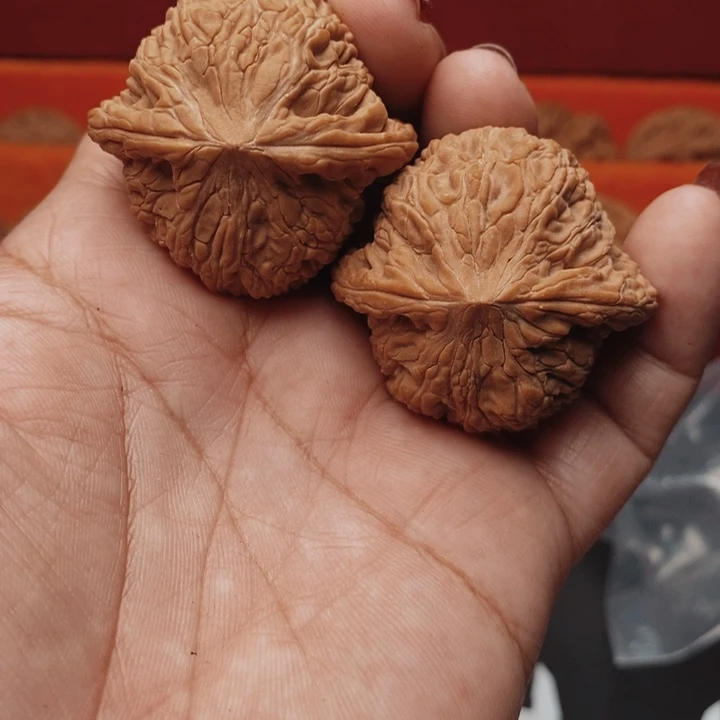核桃泥鳅背40尺核桃