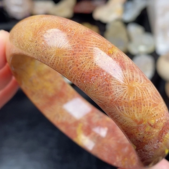 硅化玉未镶嵌颈饰58