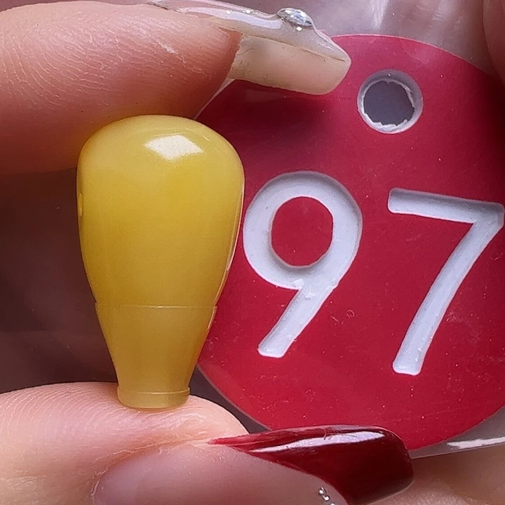 蜜蜡未镶嵌珠宝奇石l****611.5mm三通