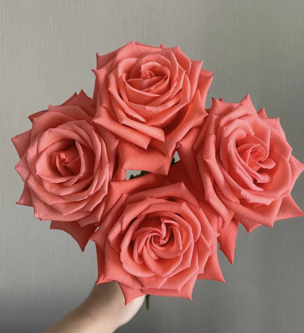 【影星】花农直发，全场任意两单顺丰冷链包邮，0度以下必拍保温棉！