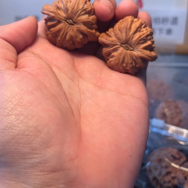 把件文玩核桃白狮子39尺全品000166