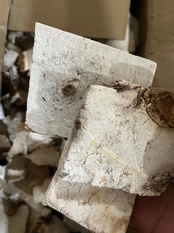 茯神250克比茯苓好
