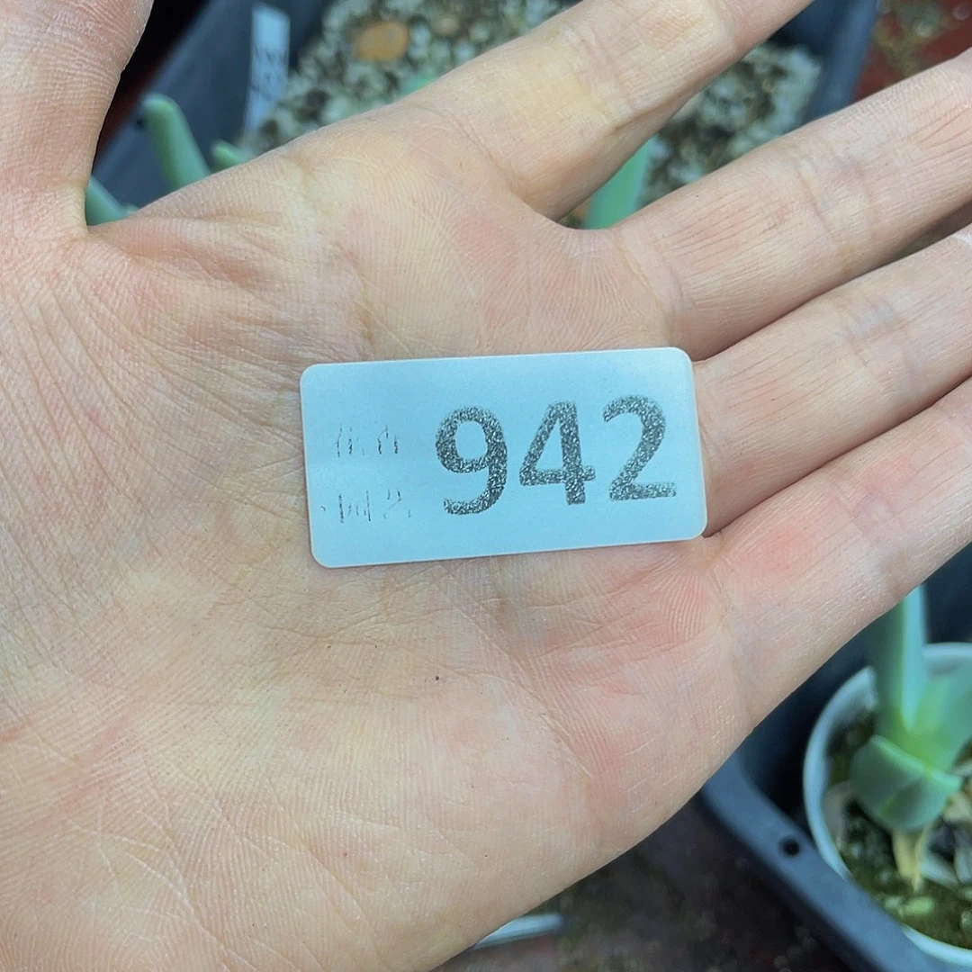 94200000花花花花花花花花花