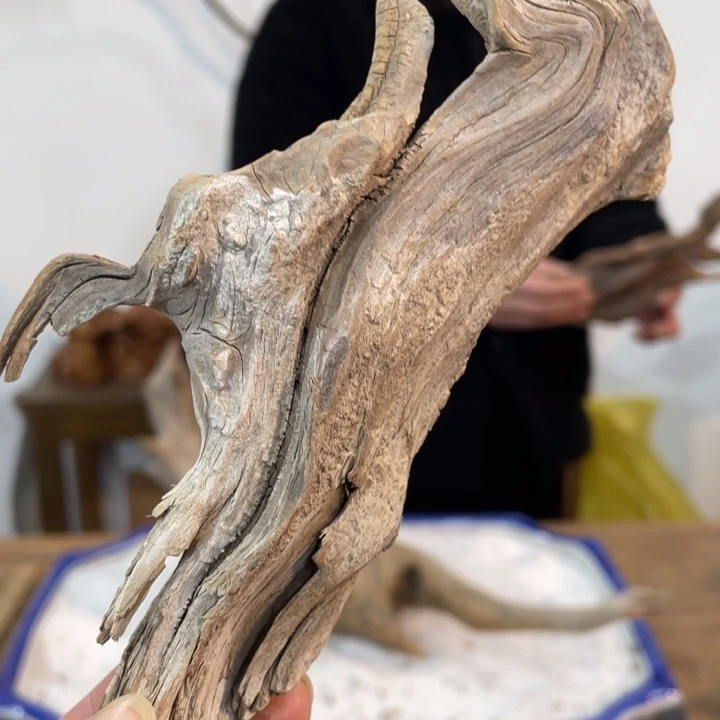 红*我们都是好孩子呀