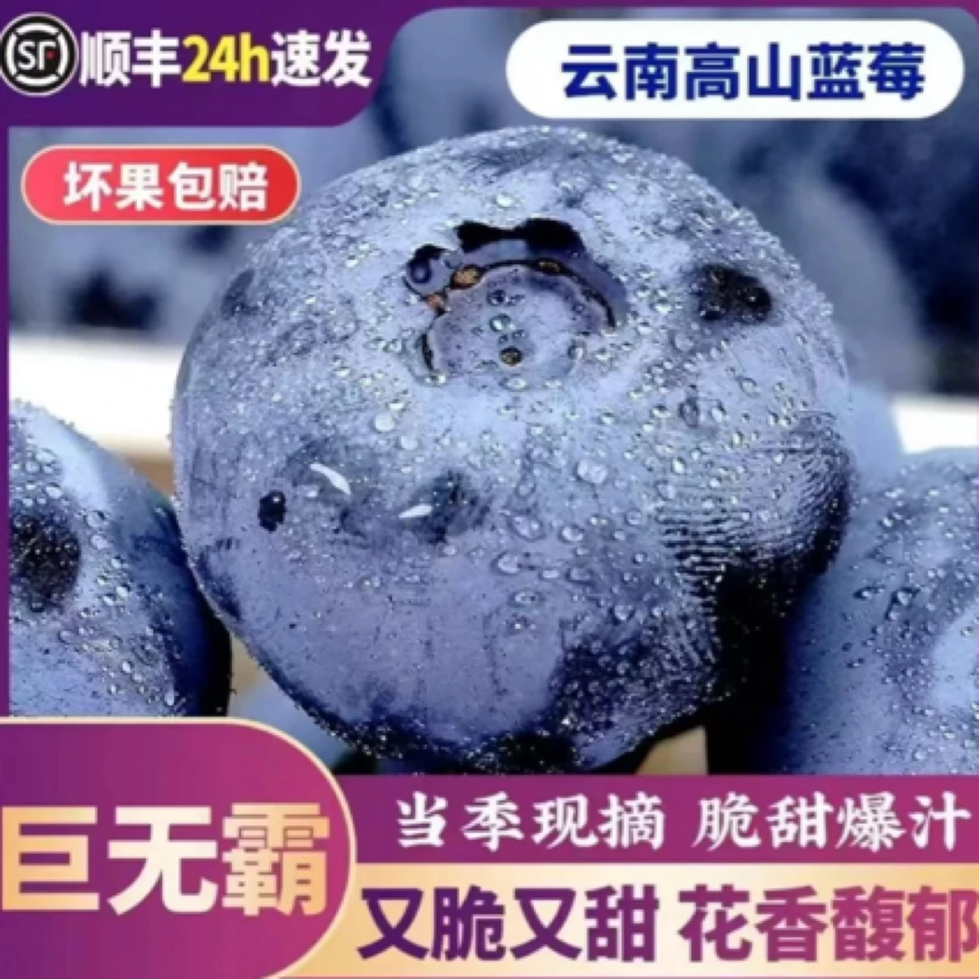 16盒 头茬特大果花香蓝莓 当天现摘现发20-16mm 顺丰冷链送货上门