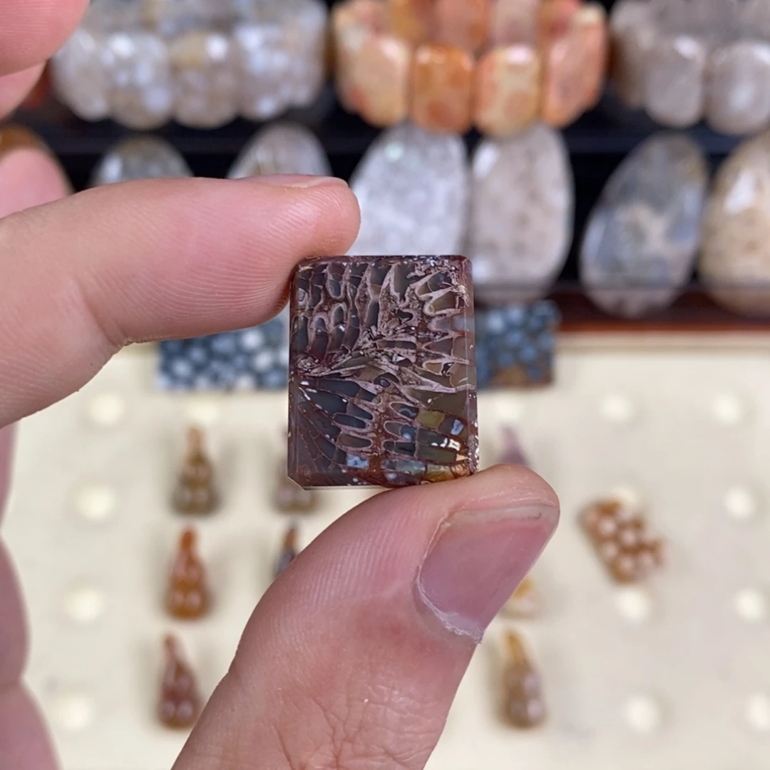 未镶嵌硅化珊瑚（珊瑚玉）珠宝奇石