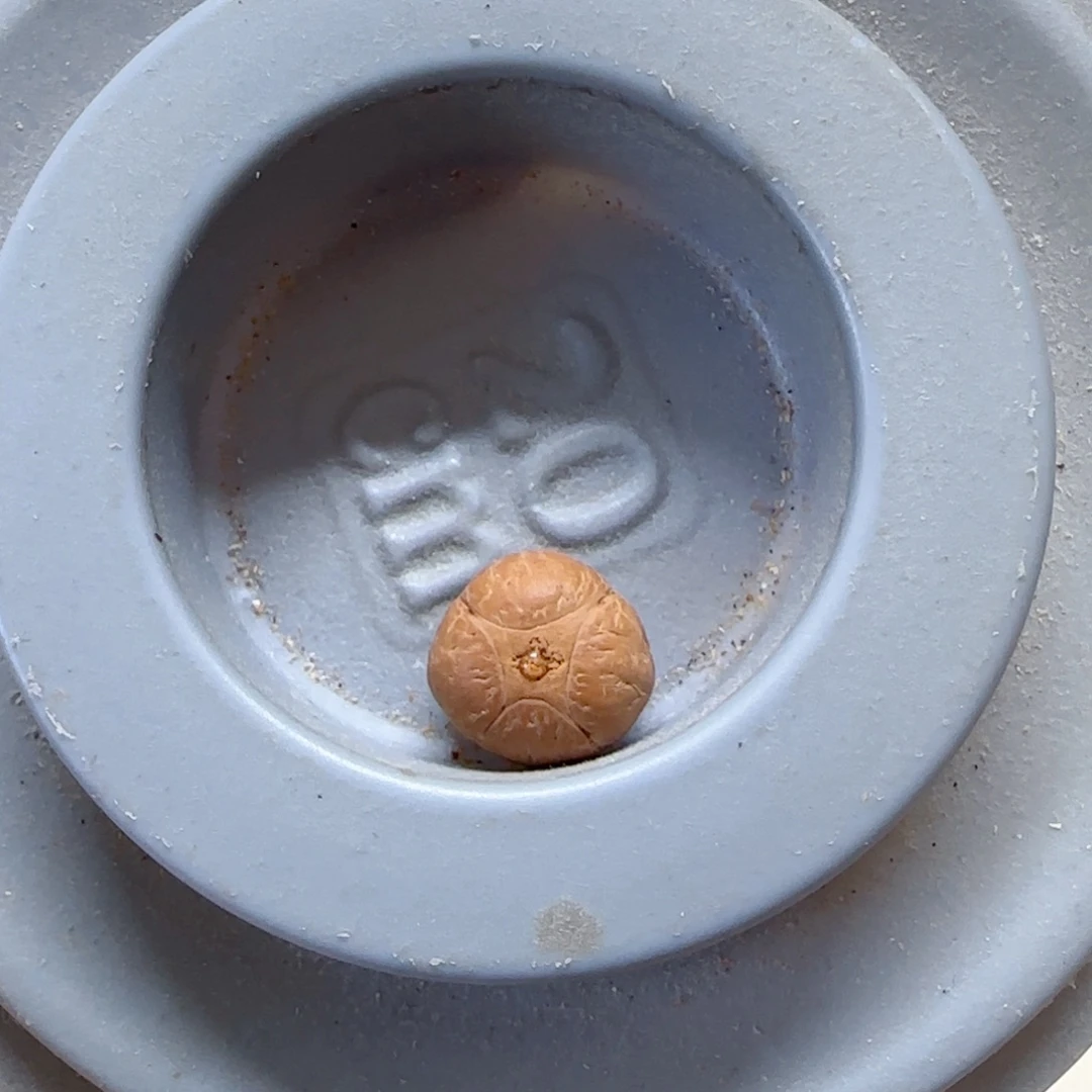 凤眼菩提吊坠14mm麒麟单颗0@522