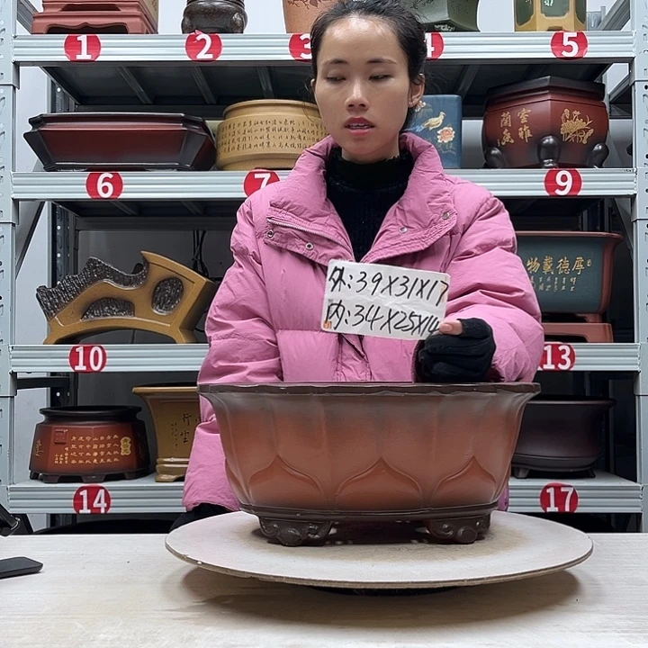 紫砂花盆紫砂花盆