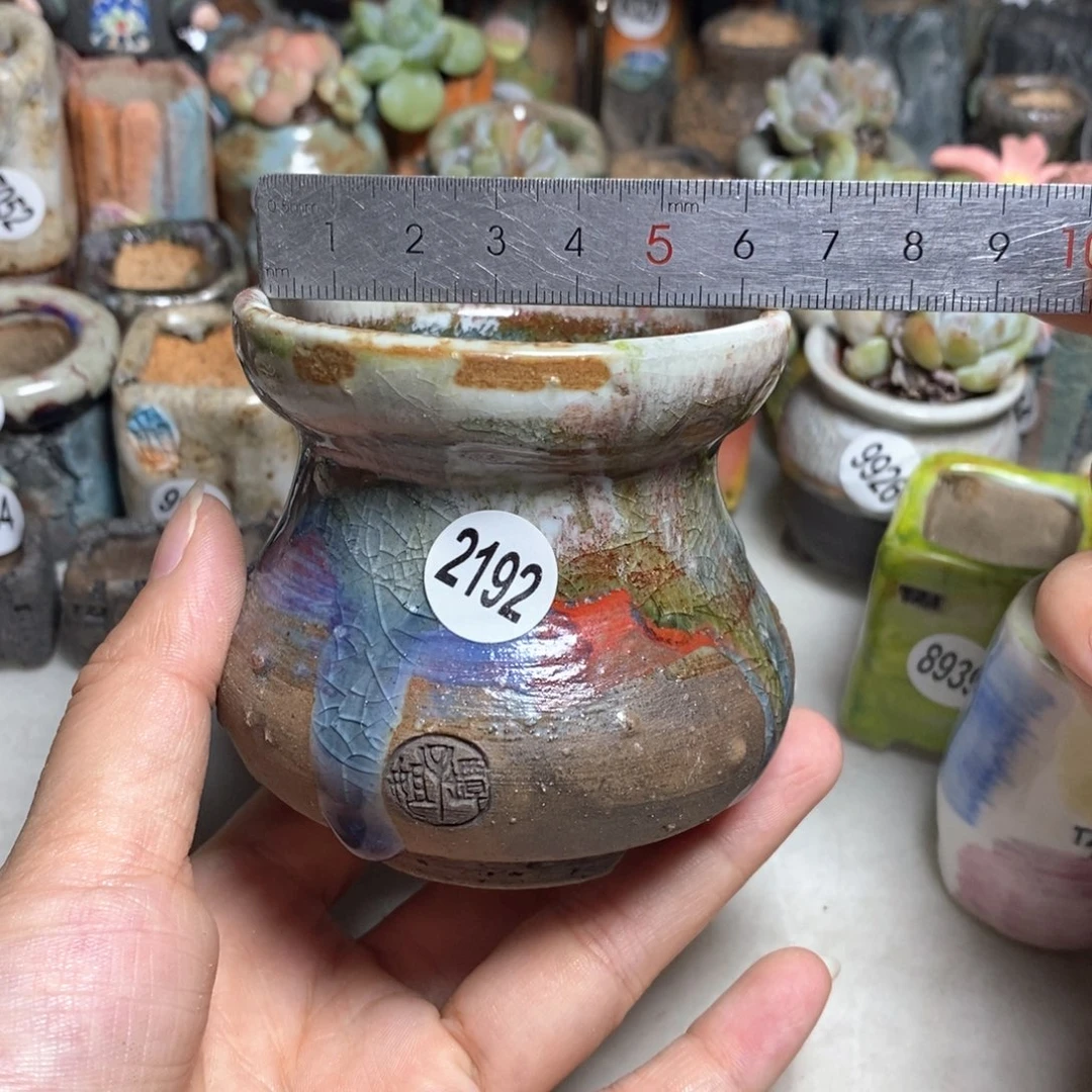 拍5送一个小礼物