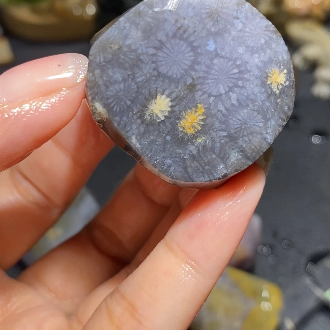 【闪购商品】未镶嵌珊瑚玉硅化玉