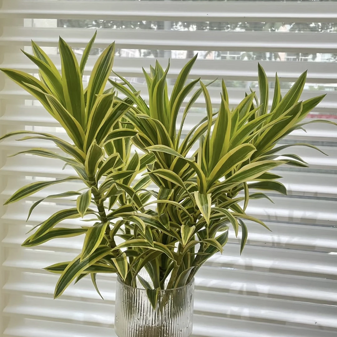 3枝金边百合竹枝条插花搭配视觉力强吸引眼球好寓意及高端耐放