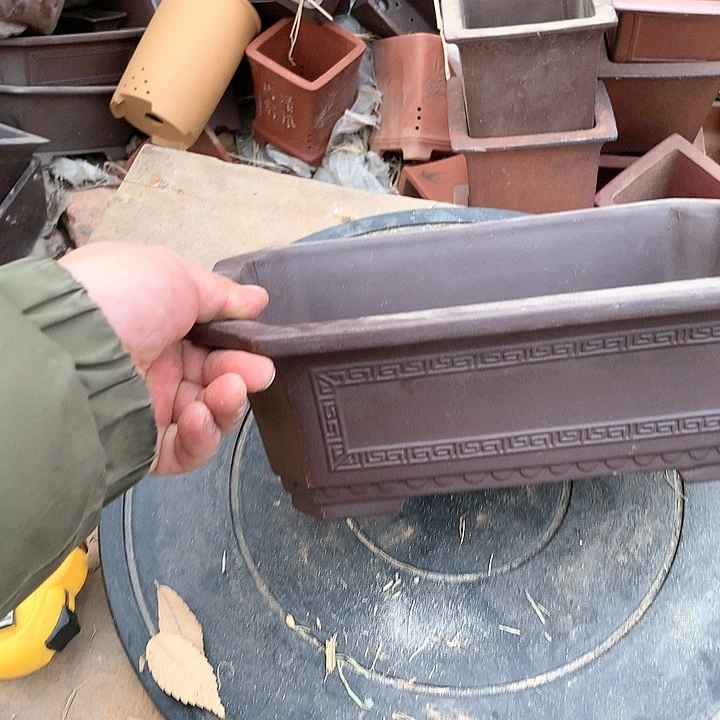 紫砂我要不明天要好好