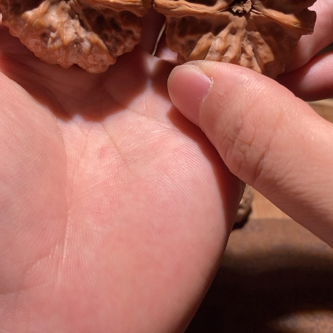 A***龙文玩核桃吊坠蛤蟆头D21