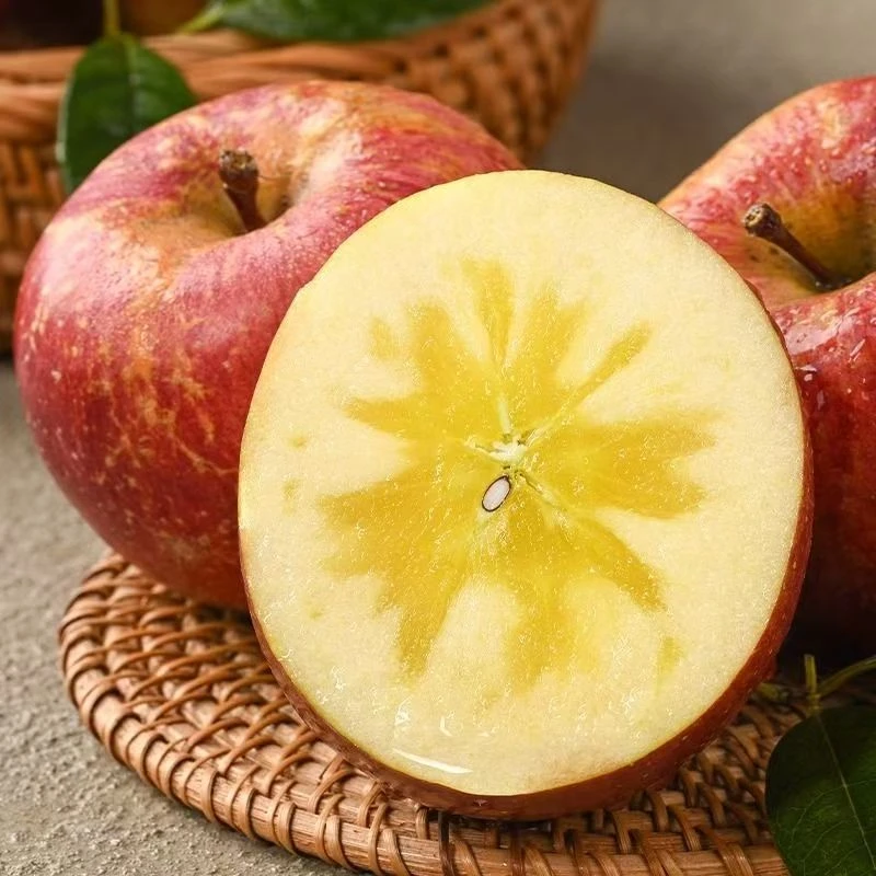 新鲜采摘四川大凉山高山丑苹果现摘脆甜多汁糖心新鲜水果5斤装