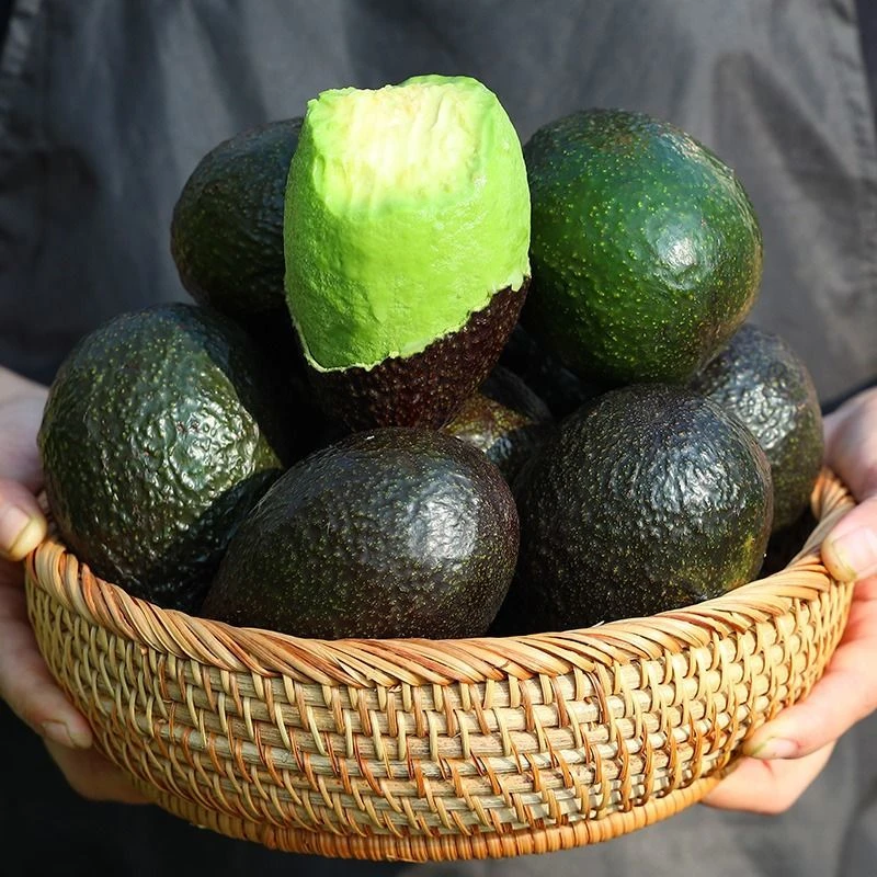 墨西哥进口牛油果新鲜孕妇水果大果宝宝辅食每份1个约180克牛油果同城