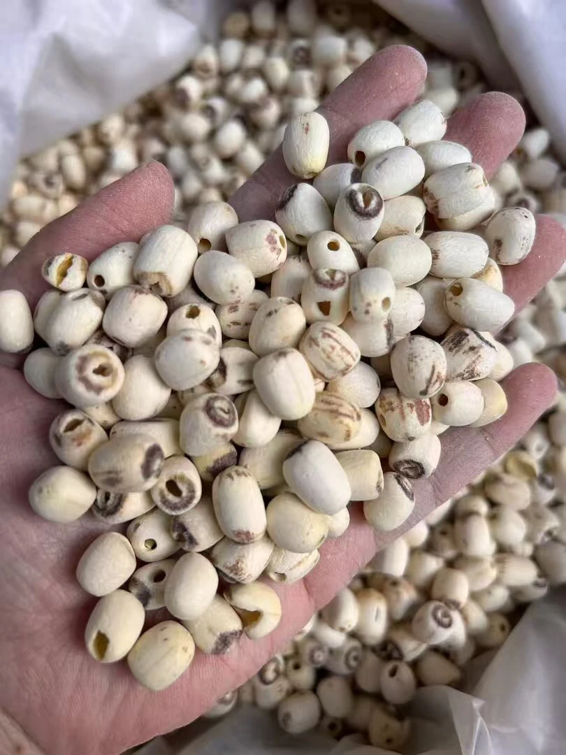 【助农补贴】精选湘潭去芯白莲子新货磨皮通心干货净重1斤