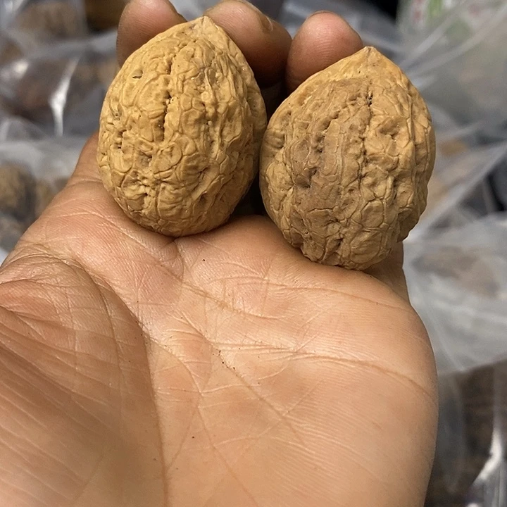 核桃云南铁核桃基地76