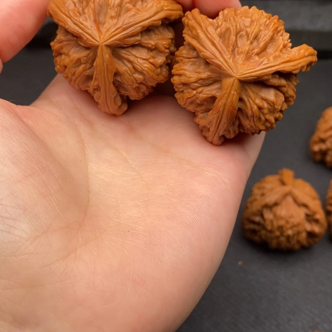 随*_白狮子11111111111