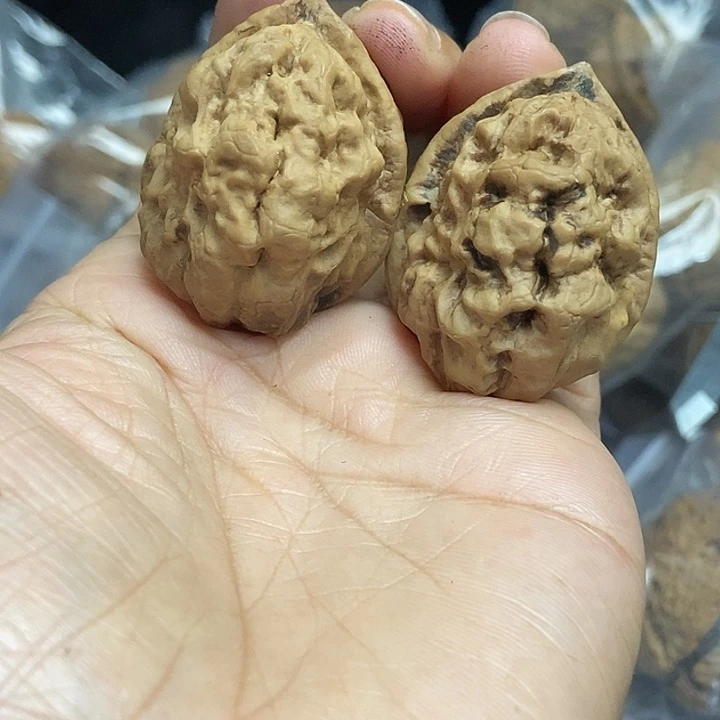 木质类云南铁核桃基地97