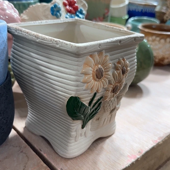 姐姐，什么盆都有，什么盆都会上，稍等一下都会上的，不点菜