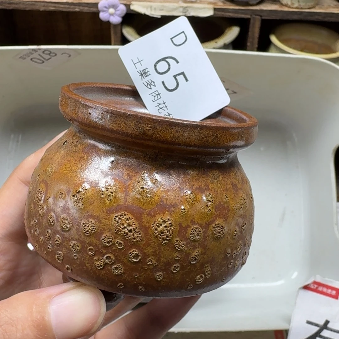 如***月陶瓷艺术设计学与制作