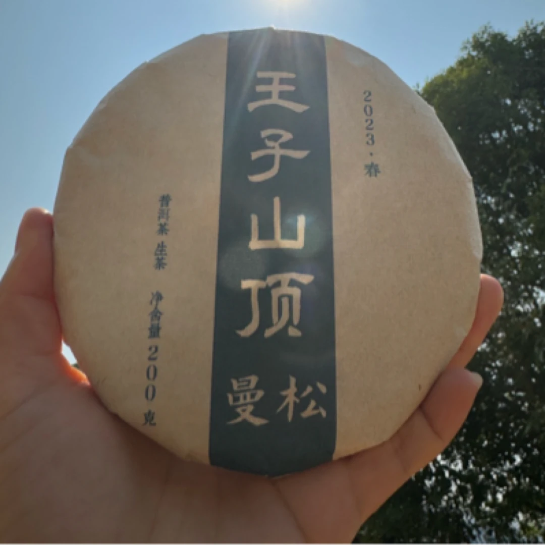 曼松王子山 2023年头春核心区山顶大树 200克/片