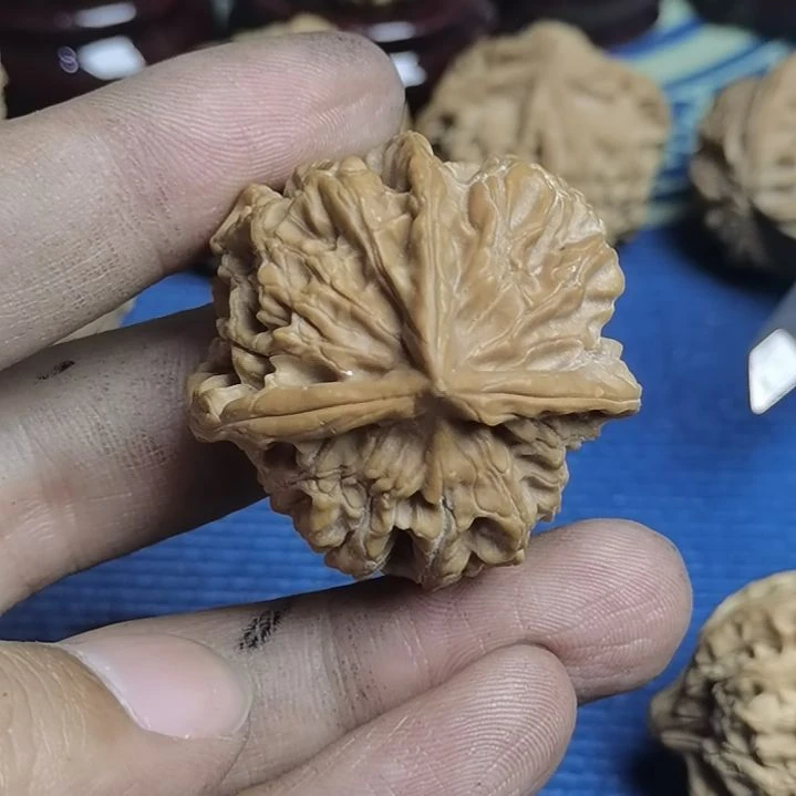 对***歌核桃手串/手链棱虚，微磕尖