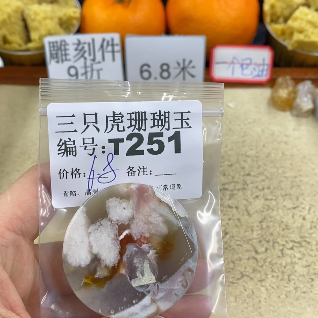 硅化珊瑚（珊瑚玉）1未镶嵌方*