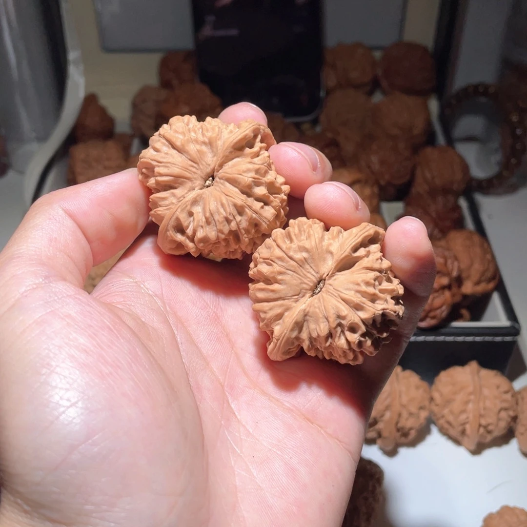 你****程44尺寸官帽狮子头