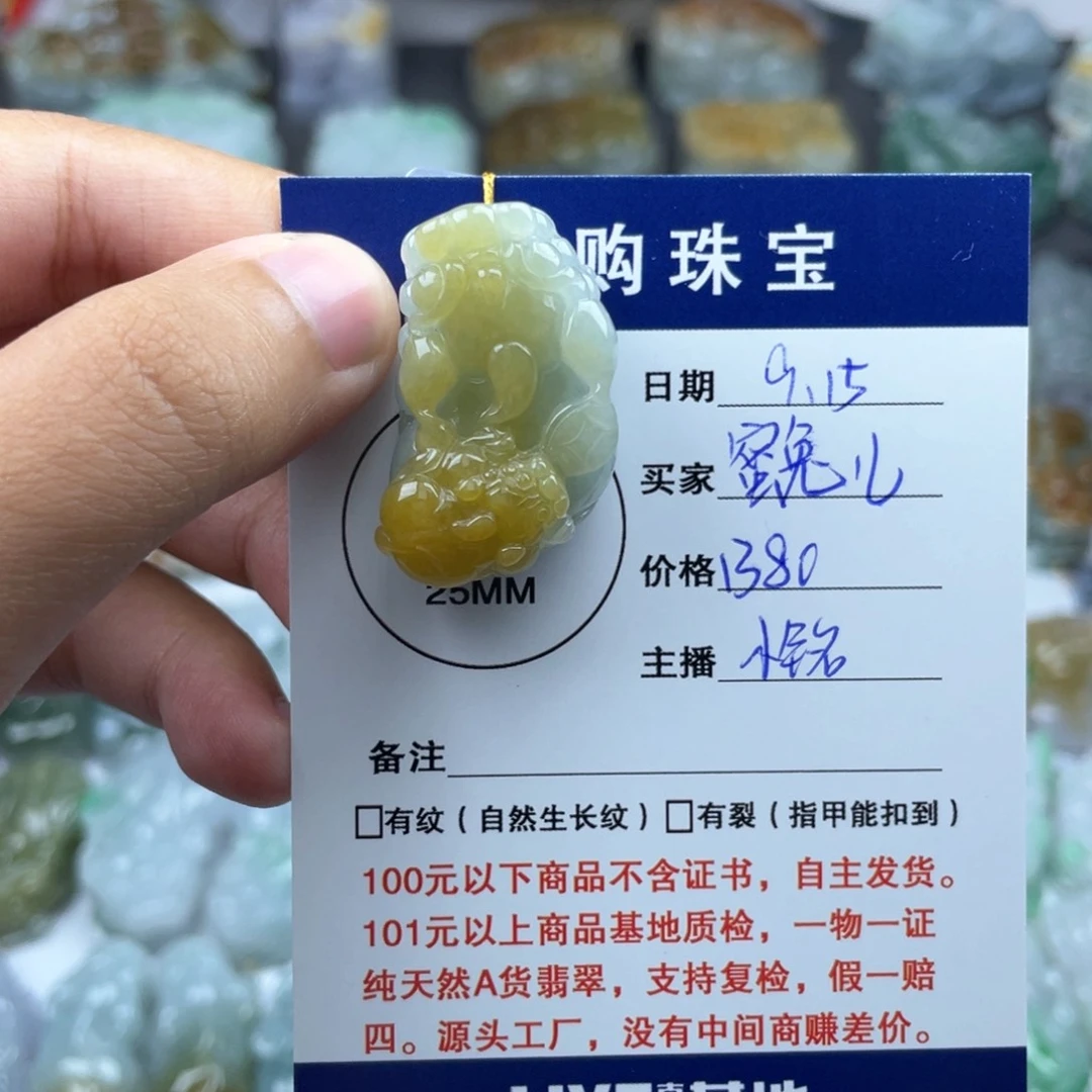 颈饰未镶嵌翡翠蜜*儿貔貅
