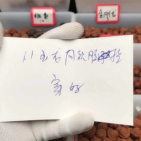 贾***哥桃核吊坠龙纹桃核的搭配