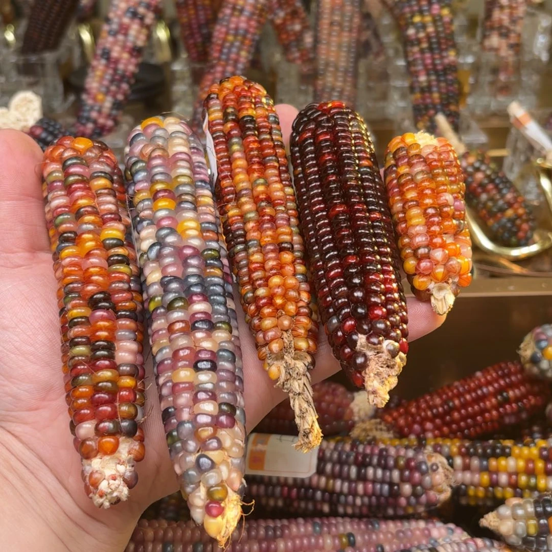 柏香籽/百香籽吊坠雅*