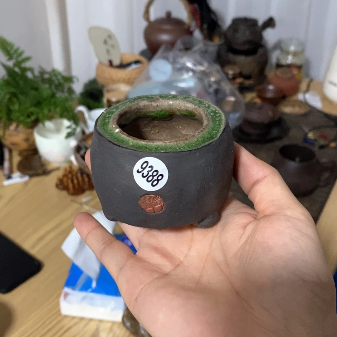 处理的，不退不换的