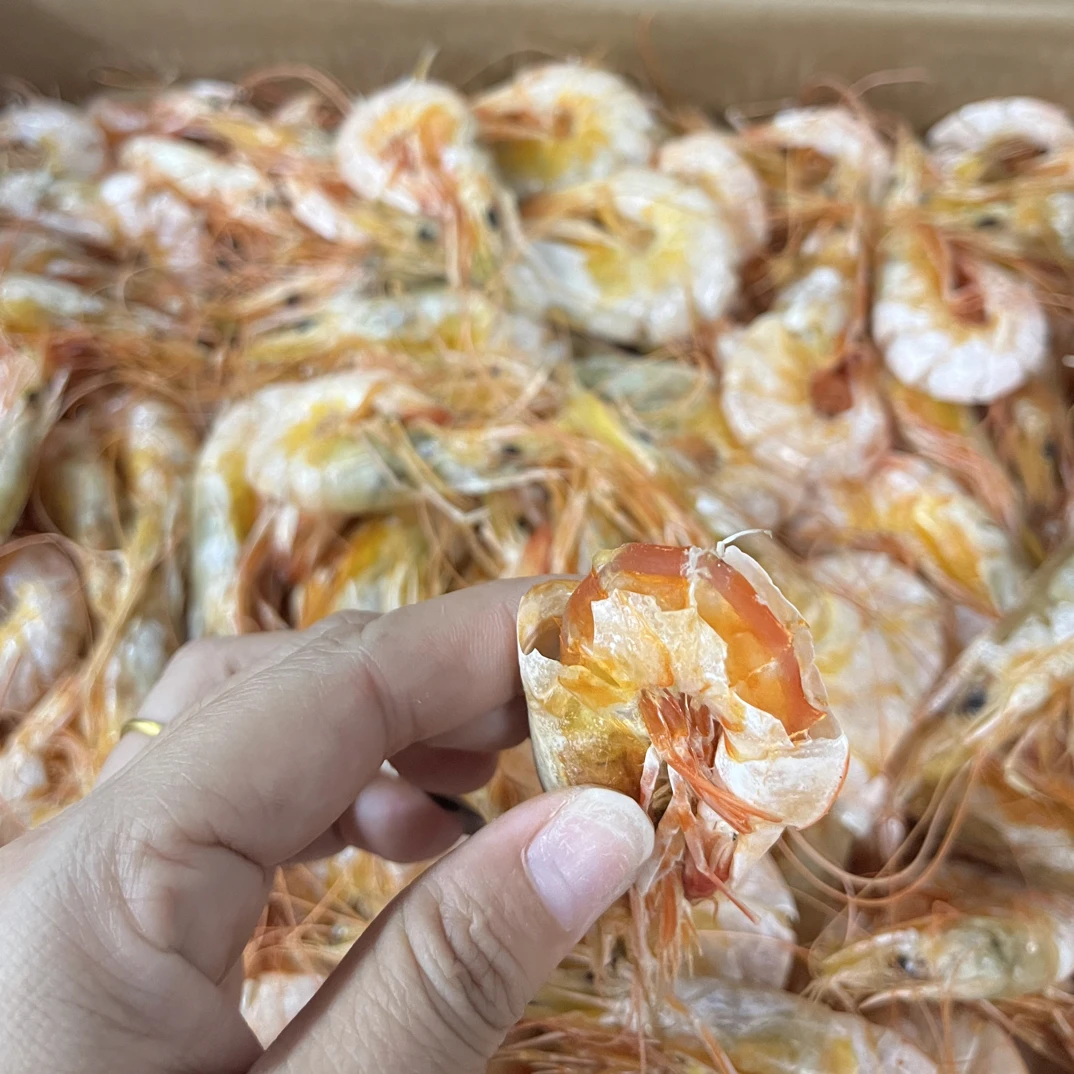 广东汕尾港活晒野生大卢虾干沙卢虾即食虾干