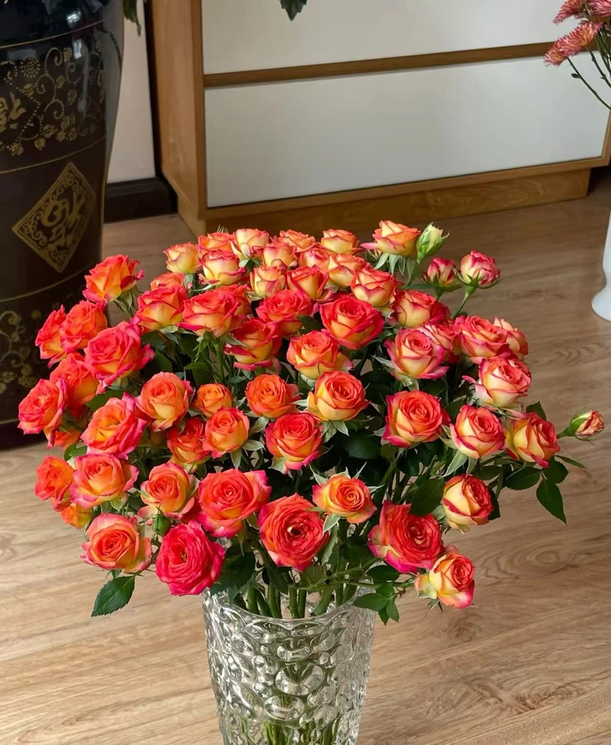 【顺丰包邮】多头爱丽丝 云南鲜花基地批发直播 家用办公室插花