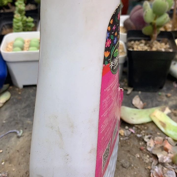 似***逅老猫猫多肉水乳剂