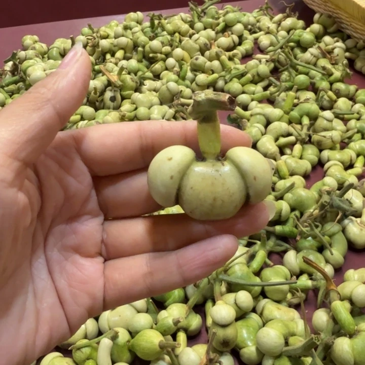 跃*葫芦葫芦葫芦葫芦