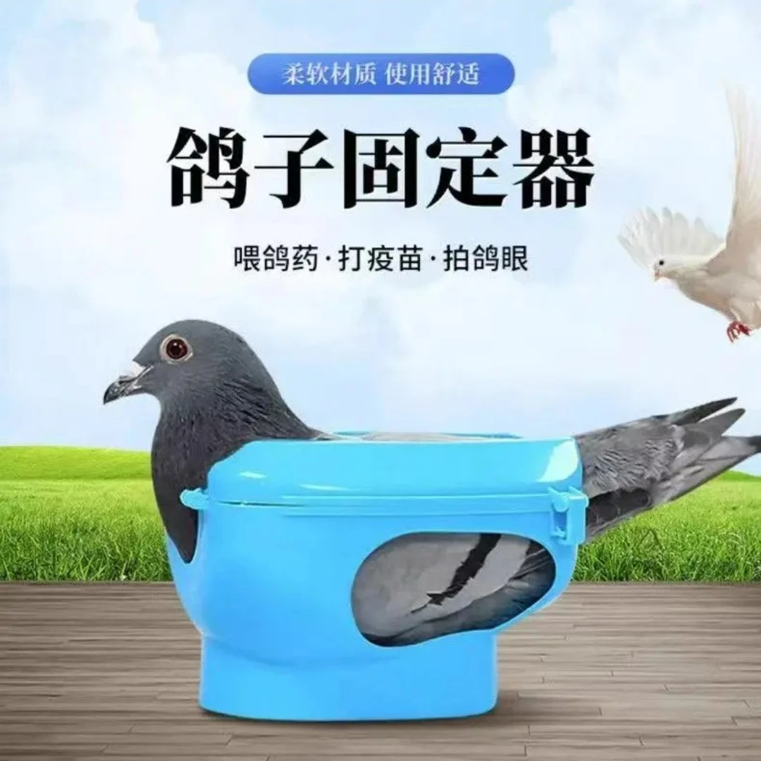 多功能鸽子固定器防跑喂药打针看鸽眼信鸽辅助工具
