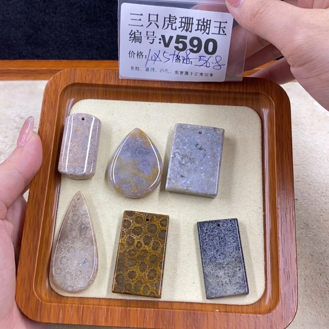 硅化珊瑚（珊瑚玉）未镶嵌1ʚ****ɞ