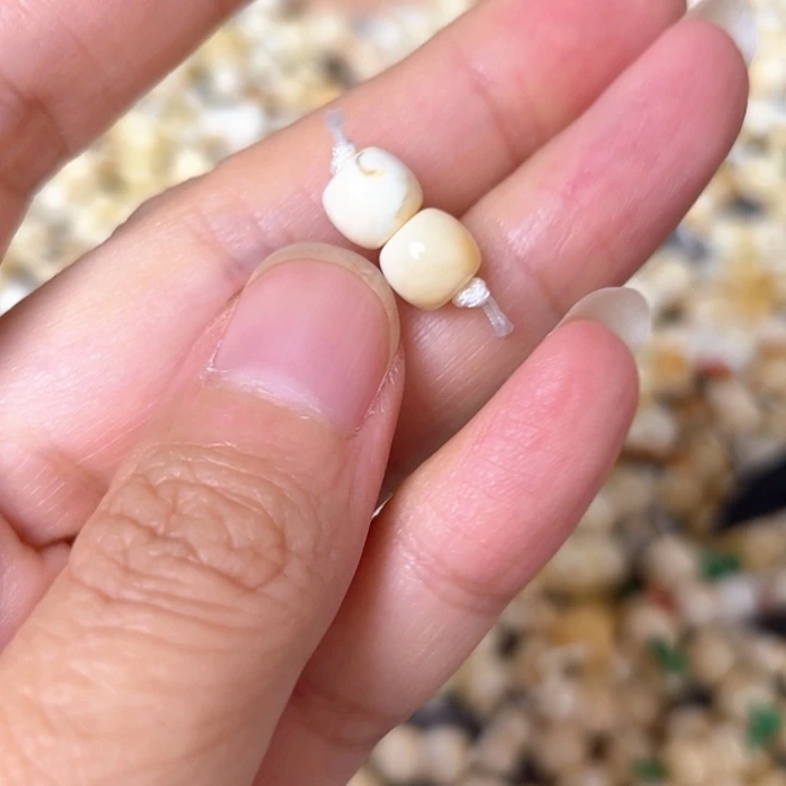 裸石蜜蜡未镶嵌7.1mm一对