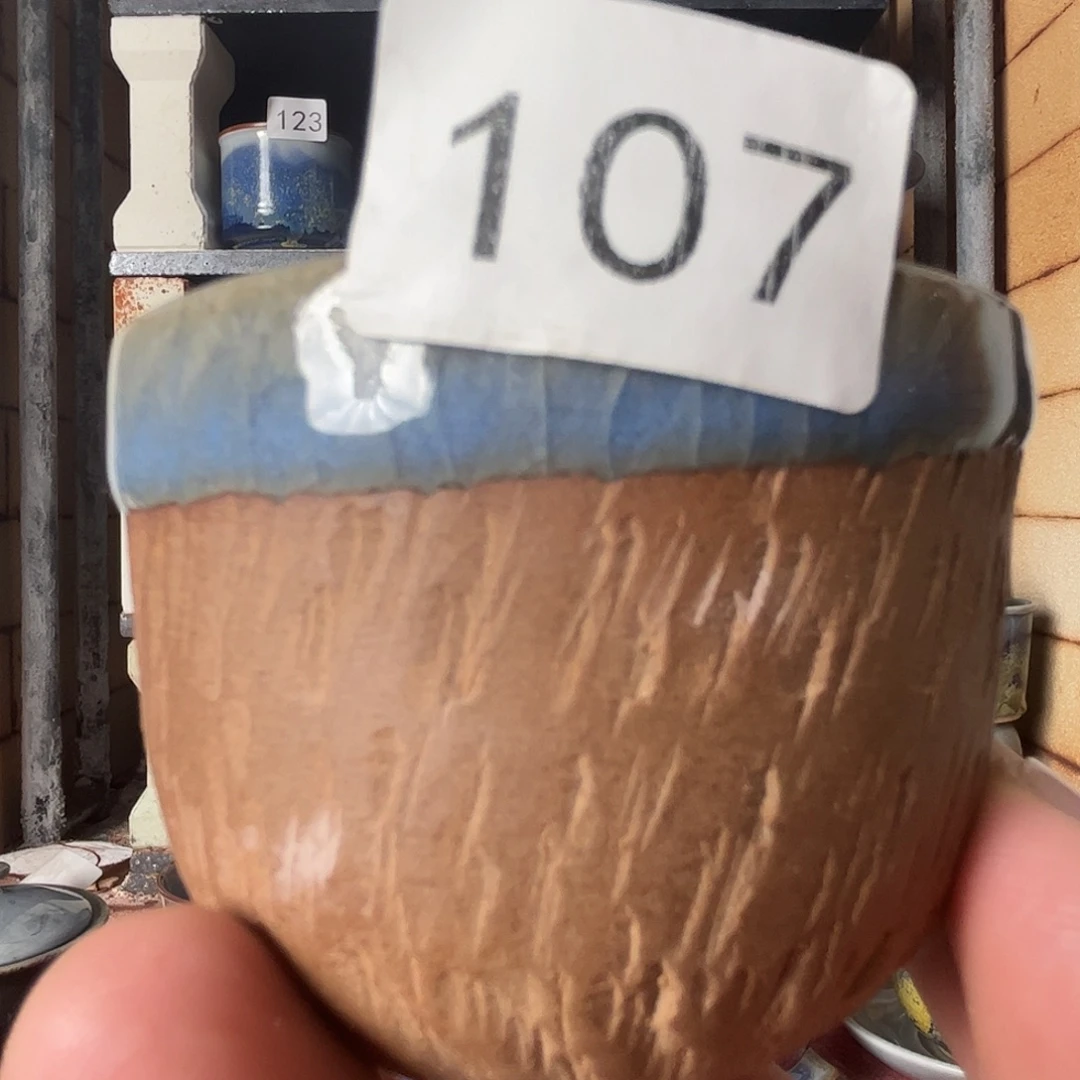 瓷片好的我们的生活方式是107