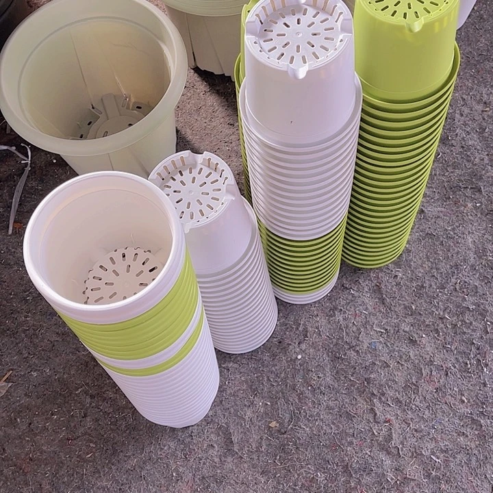 树脂乱*雷锦鲤1号20个