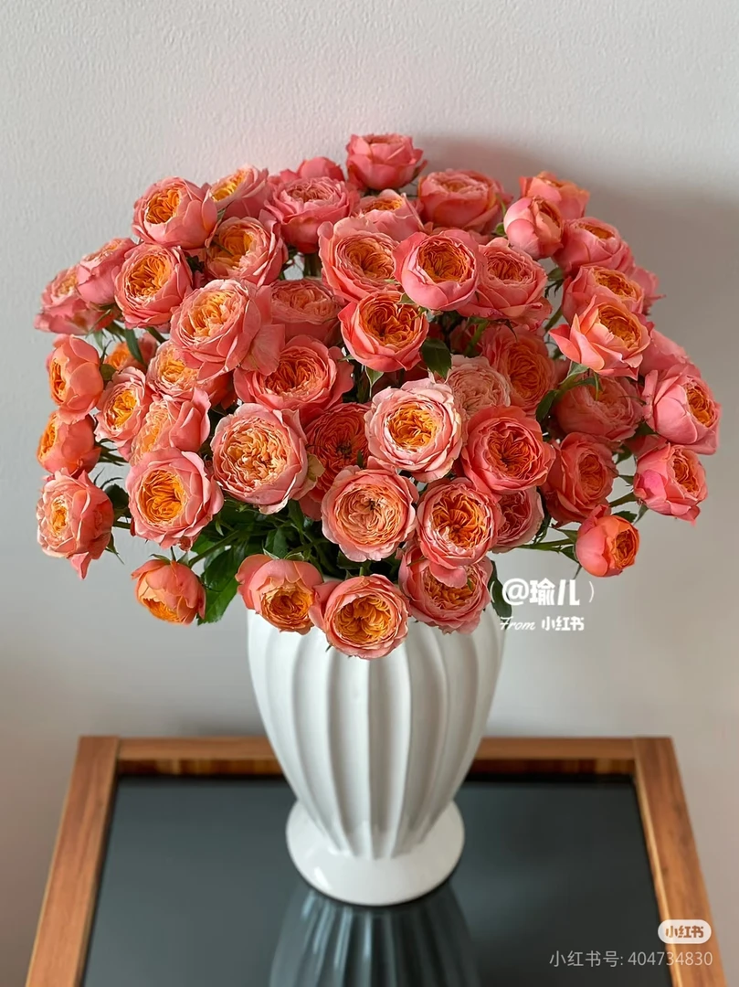 【小灵感10枝】20%不售后，三扎顺丰冷链包邮