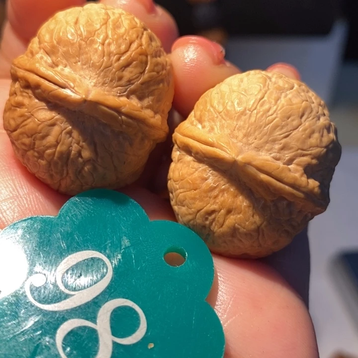 2号链接小龙蛋32尺寸