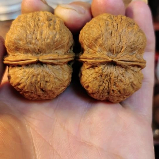 吊坠文玩核桃牛蛙萌萌包（7）