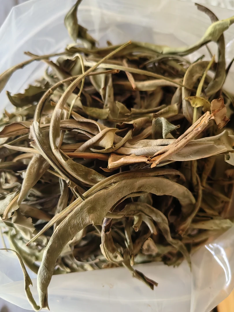 高黎贡农户自收化石草