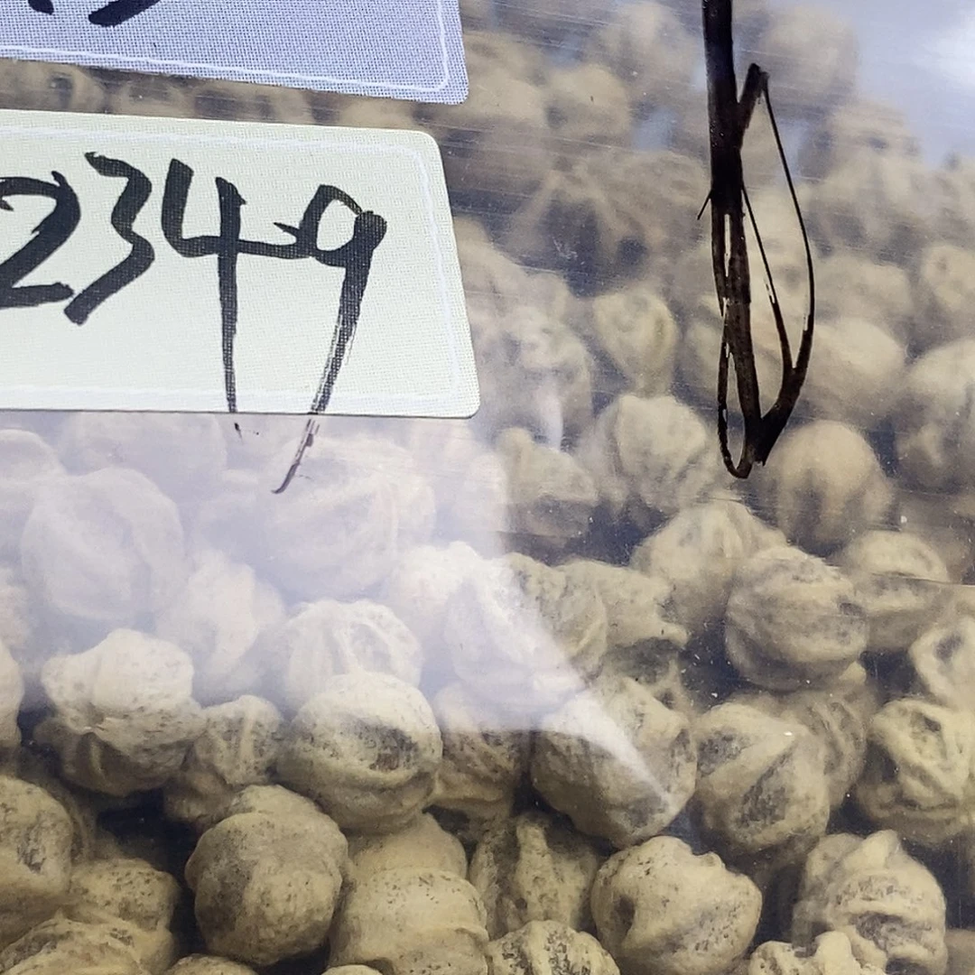 来***车手串柏香籽/百香籽