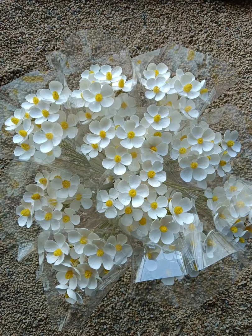 【真花制作】紫罗兰、文心兰、千日红干花手工花草莓永生花果批发持久
